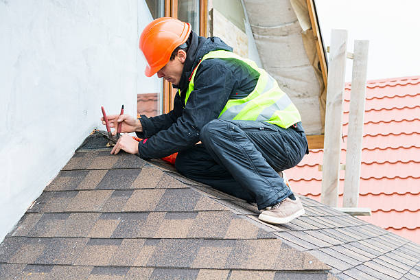Best Storm Damage Roof Repair  in Lanett, AL